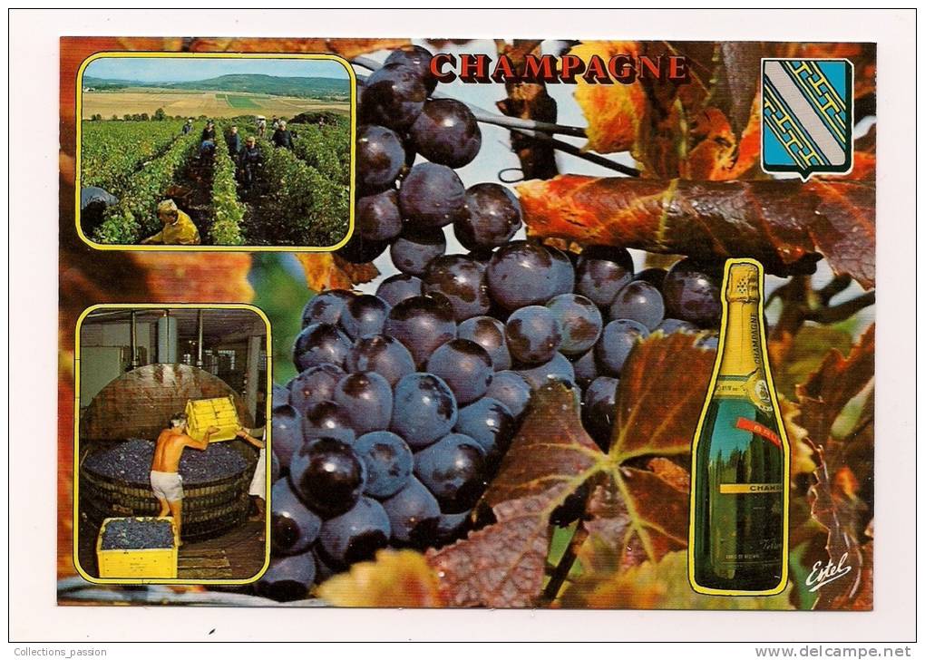 Cp , Agriculture , Vignes , Souvenir De CHAMPAGNE , Vierge , Ed : Estel , Production Leconte , 550 W - Vignes