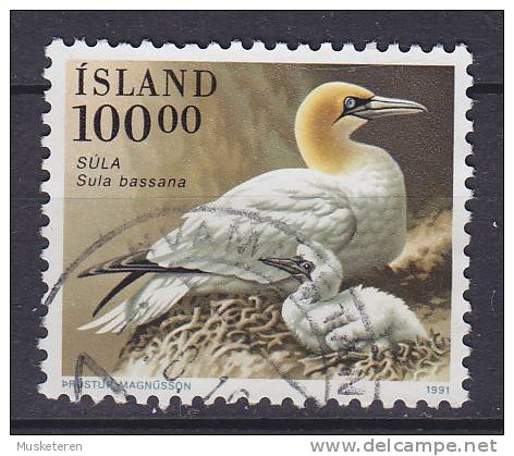 Iceland 1991 Mi. 739     100.00 Kr Bird Vogel Oiseau Basstölpel - Oblitérés