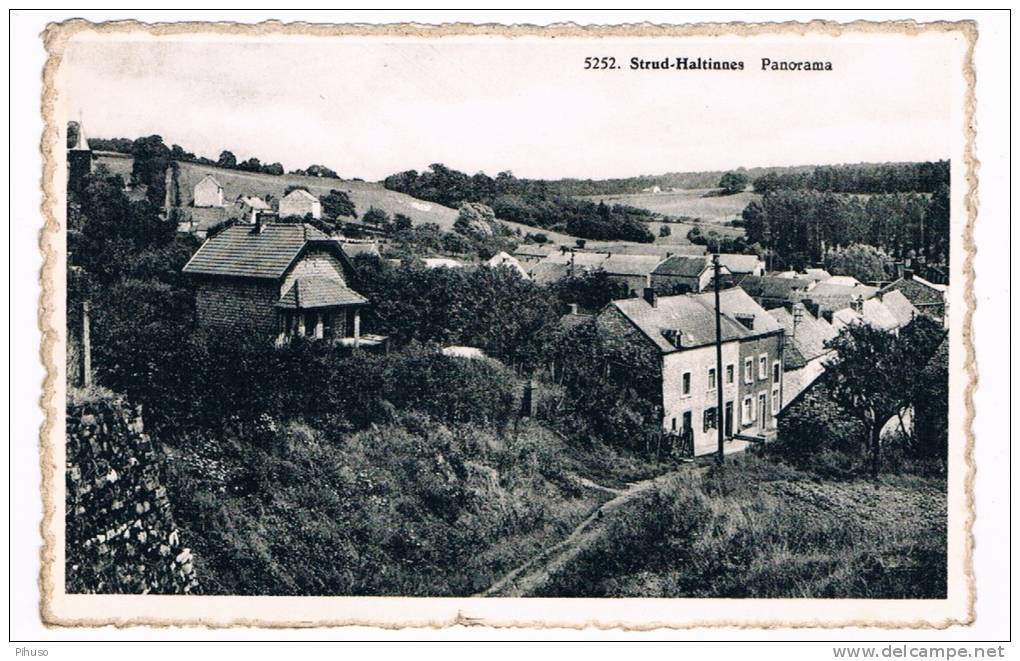 B4188    STRUD-HALTINNES : Panorama - Gesves