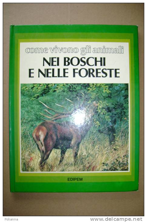 PBN/8 COME VIVONO GLI ANIMALI NEI BOSCHI E NELLE FORESTE Edipem 1979 Illustr. Carl Brenders - Natur