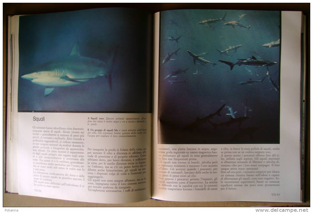 PBN/9 OCEANI - I MESSAGGI INVISIBILI Di Jacques Cousteau Fabbri 1981 / Pesci - Nature