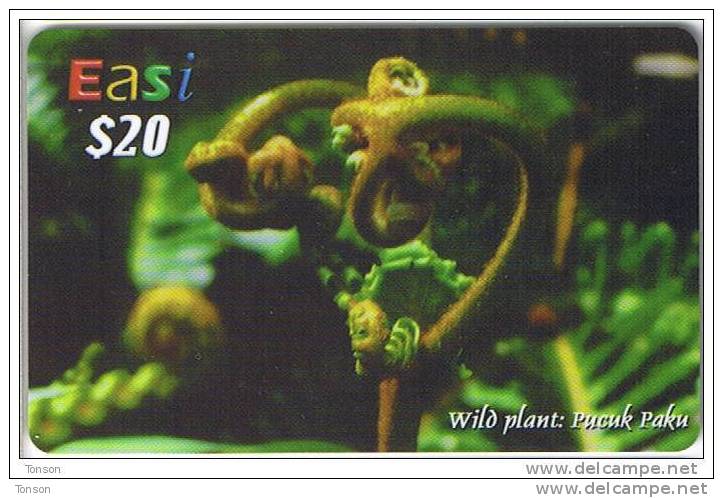 Brunei, $20, Easi, Wild Plant, Flower, 2 Scans. - Brunei