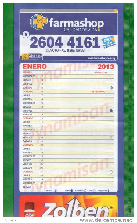 15  -URUGUAY-2013-Calendario  De Pared De Seis Hojas - Calendari