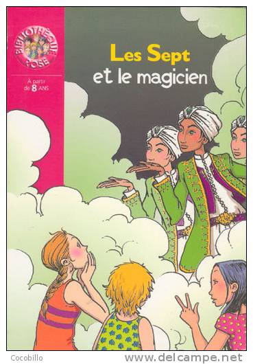 Les Sept Et Le Magicien - D´Enid Blyton - 2005 - Bibliothèque Rose N° 891 - Bibliotheque Rose