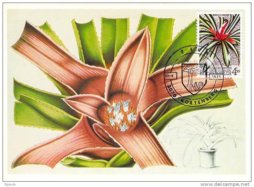 BELGIQUE CARTE MAXIMUM NUM.YVERT 1741  FLORALIES  GANTOISES - 1971-1980