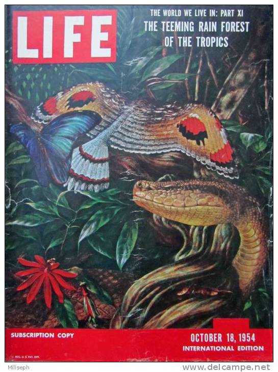 Magazine LIFE - OCTOBER 18 , 1954 -  INTERNATIONAL EDITION -   (3020) - Journalismus