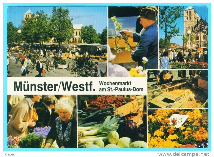 Postcard - Munster, Market       (V 16200) - Muenster
