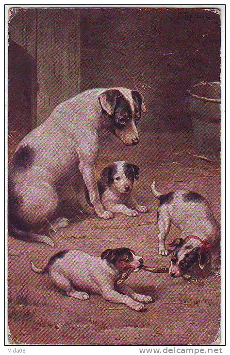 FANTAISIES . ILLUSTRATEURS . CHIEN FOX TERRIER Et CHIOTS Par ............T.S.N.  SERIE 1208   16 MUSTER - Mueller, August - Munich