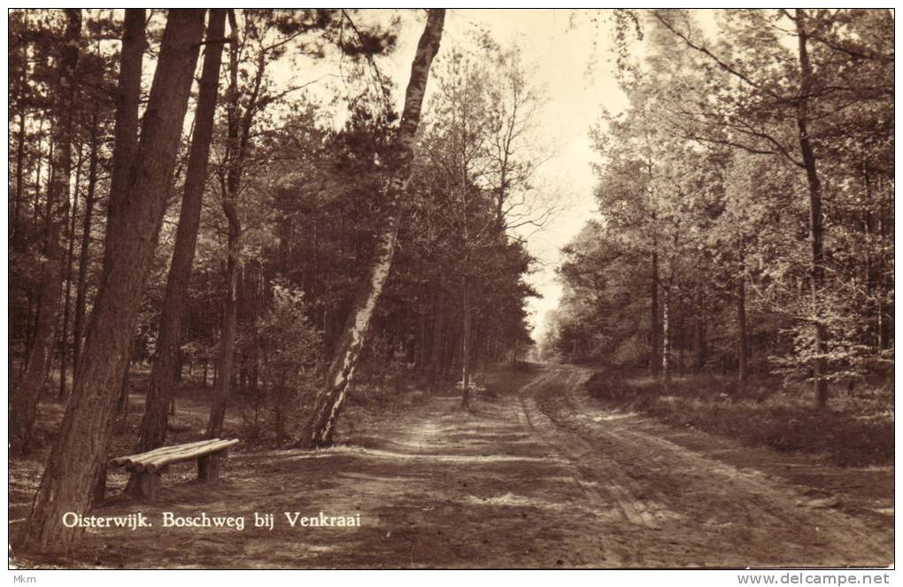 Oisterwijk Boschweg Bij Venkraai - Andere & Zonder Classificatie