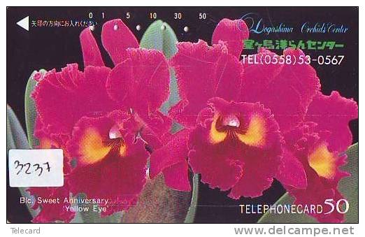 Télécarte Japon FLEUR * ORCHID (3237) Orchidée Orquídea Orchidee Orquidée Orchid * Flower Phonecard Japon - Flowers