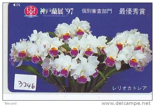 Télécarte Japon FLEUR * ORCHID (3246) Orchidée Orquídea Orchidee Orquidée Orchid * Flower Phonecard Japon - Flores