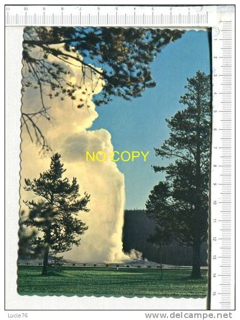 USA -  Old Faithful GEYSER, The Most Famous Geyser In Yellowstone National Park - Otros & Sin Clasificación