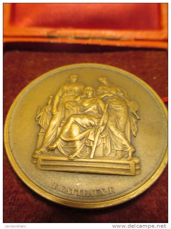 Médailles /Ecole Nationale Des Beaux Arts/Peinture-Archéologie /Melle DELECLUSE/ Gatteaux/1907-1914  D107 - Autres & Non Classés