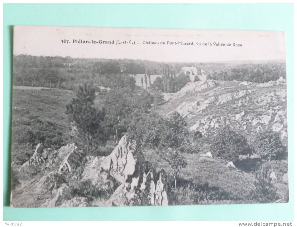 PIELAN LE GRAND - Chateau Du Pont Musard, Vu De La Vallée De Roca - Other & Unclassified