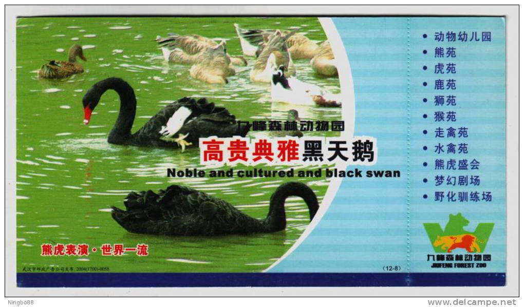 Black Swan,wild Duck,China 2004 Jiufeng Forest Zoo Admission Ticket Advertising Pre-stamped Card - Swans
