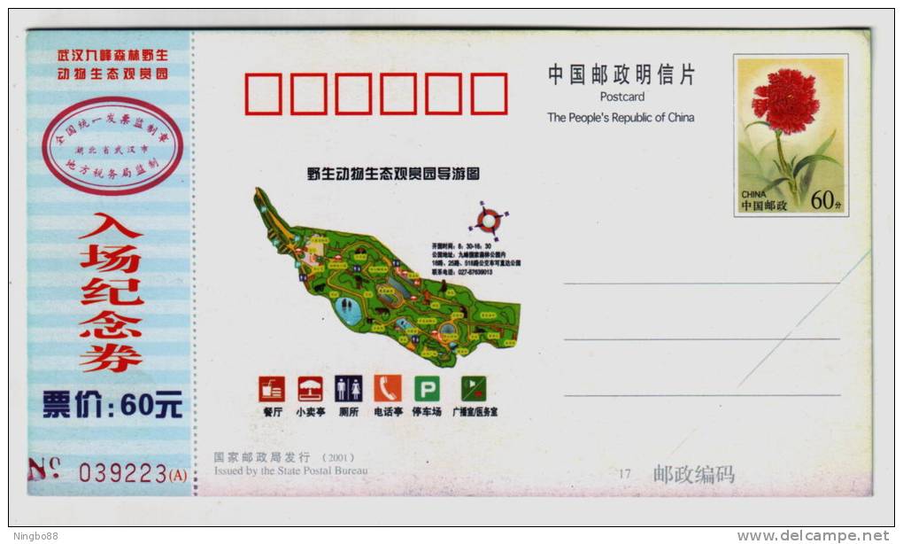 Black Swan,wild Duck,China 2004 Jiufeng Forest Zoo Admission Ticket Advertising Pre-stamped Card - Cygnes