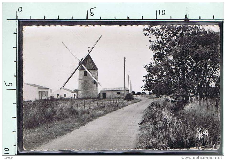 85   BARBATRE LE MOULIN - Noirmoutier