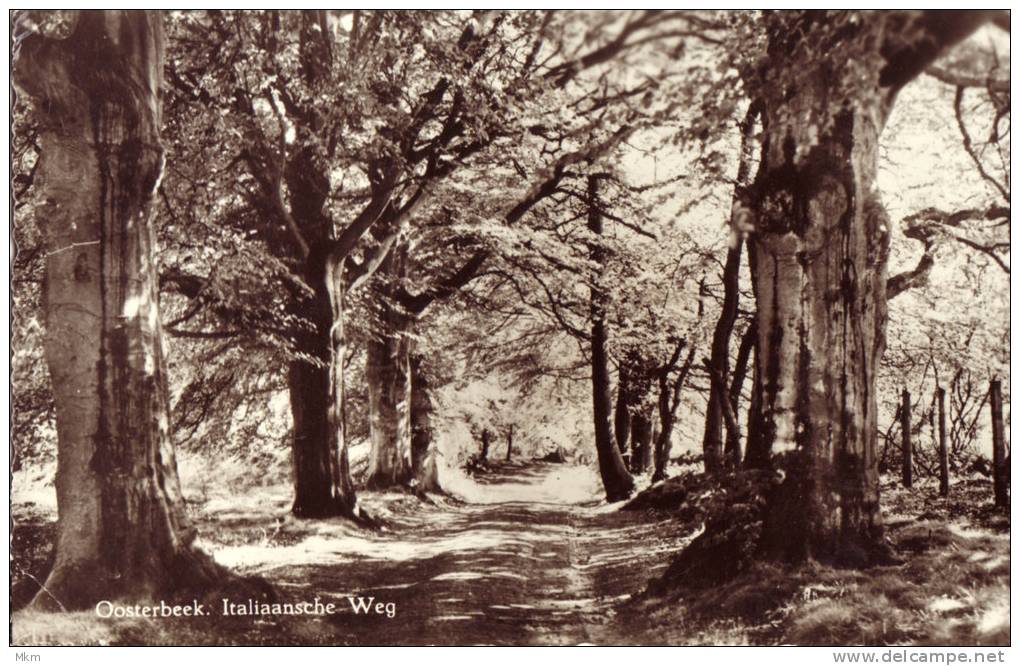 Italiaansche Weg - Oosterbeek