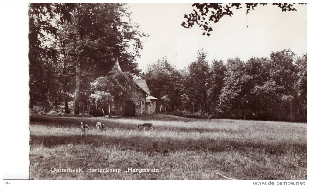 Hertenkamp Hartenstein - Oosterbeek