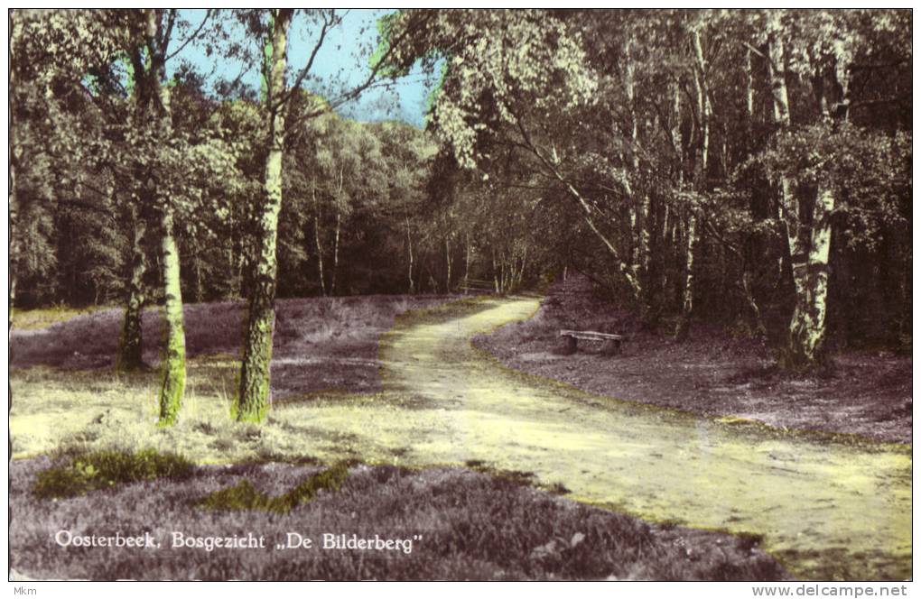 Bosgezicht De Bilderberg - Oosterbeek