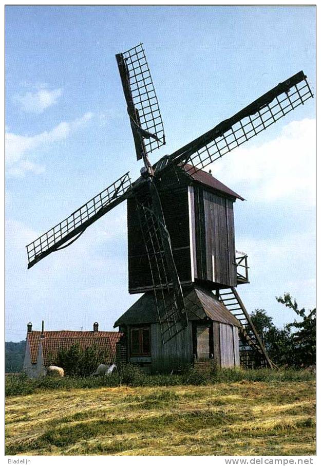 SAINT-SAUVEUR (Hainaut) - Molen/moulin/mill/Mühle - Moulin Valentin. Image Historique: 1973 !!! - Frasnes-lez-Anvaing