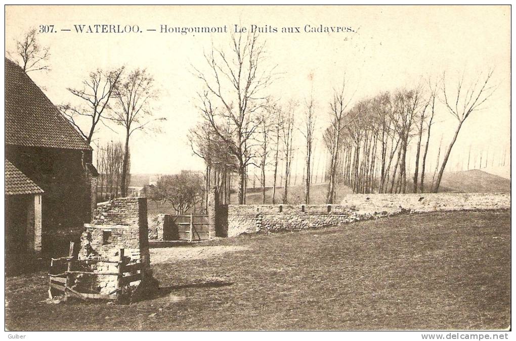 Waterloo Hougoumont Le Puit Aux Cadavres N°307 Pas Circulée TB - Waterloo