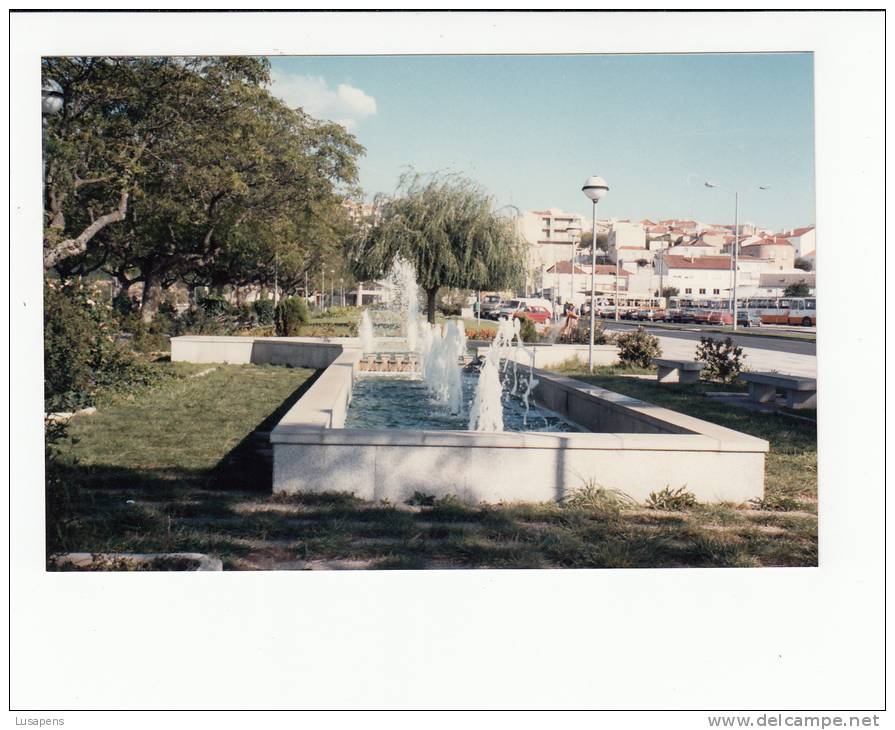 Portugal Cor 20250 - PALMELA - FOTOGRAFIA PARTICULAR - NOT POSTCARD !!! PHOTO 1990 - Setúbal