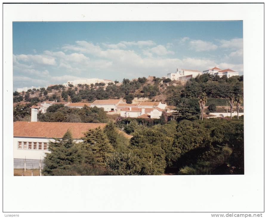 Portugal Cor 20253 - PALMELA - FOTOGRAFIA PARTICULAR - NOT POSTCARD !!! PHOTO 1990 - Setúbal