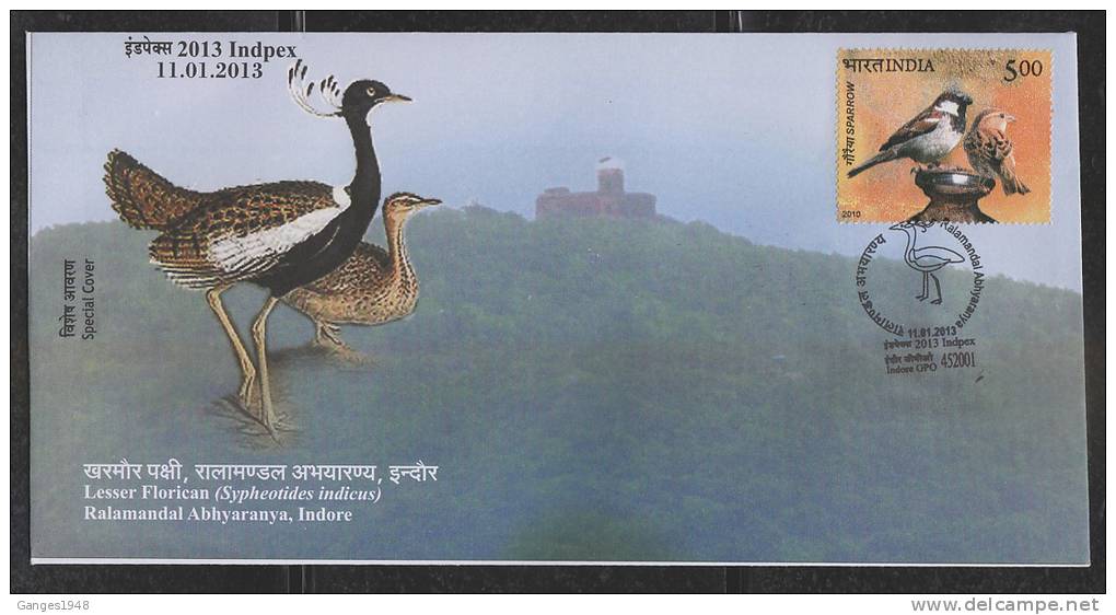 India 2013  Lesser Florican  Ralamandal Birds Sactuary Cover # 44606  Inde Indien - Oche