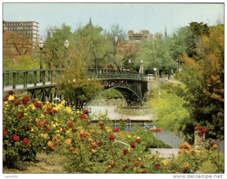 (801) Australia - SA - Adelaide University Bridge - Adelaide