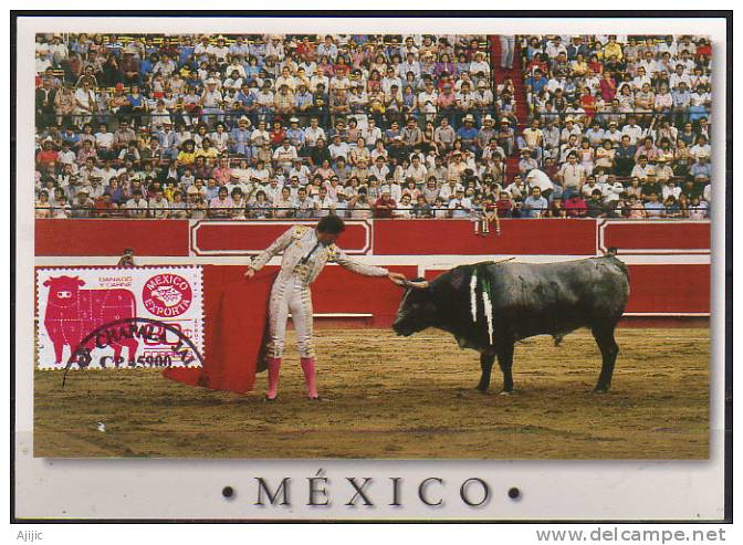 MEXIQUE. CORRIDA  DE  TOROS.  Une Carte-maximum - Vaches