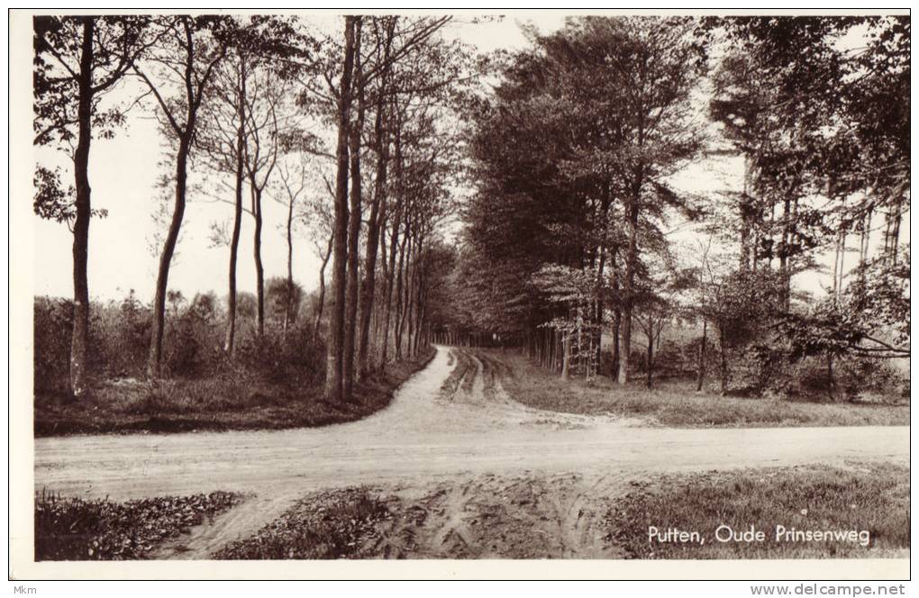 Oude Prinsenweg - Putten