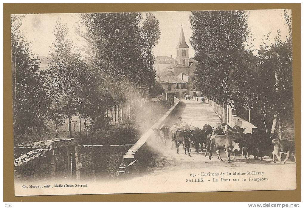 BELLE C.P.A - 63.- Environs De La Mothe - St - Héray - SALLES. - Le Pont Sur Le Pamproux - Voyagée Le 12.9.1905 - Autres & Non Classés