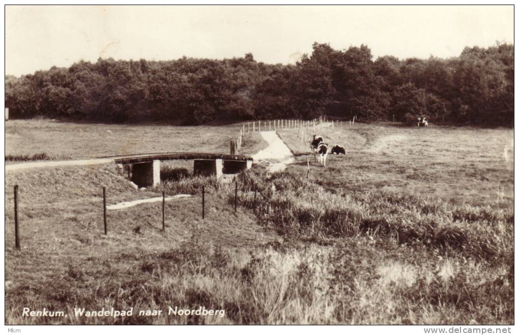 Wandelpad Naar Noordberg - Renkum