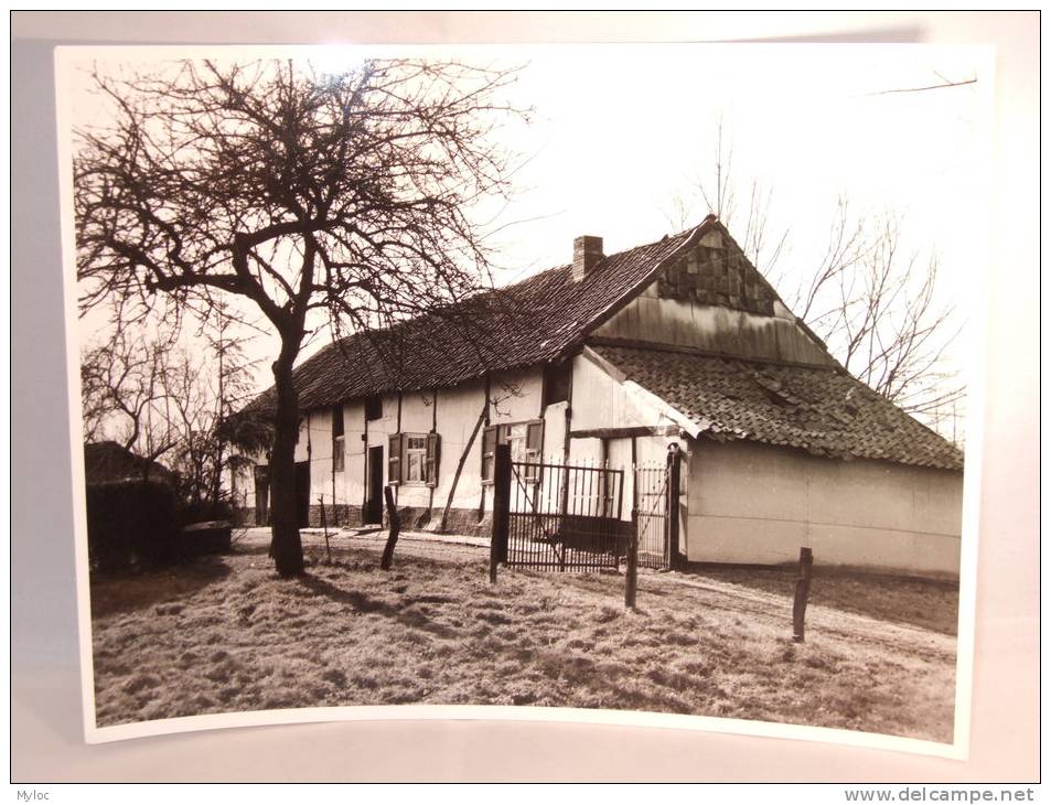 Photo C.G.T. De Groote. Beverst.(Limburg). Vieille Maison. Oud Huis. 240 X 180 Mm. - Plaatsen