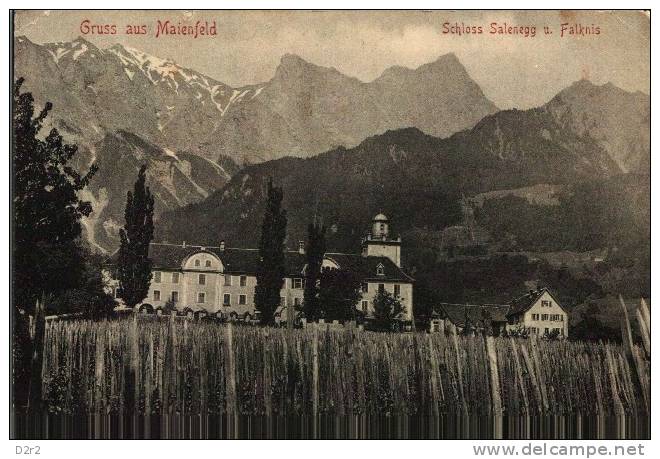 GRUSS AUS MAIENFELD-SCHLOSS SALENEGG U.FALKNIS-1913-TB - Maienfeld