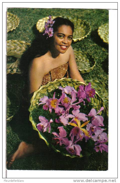 HI HAM (Hawaii, Hawaï / USA) - CPSM - Island Orchids ... Pin-up, Jolie Femme, Vahinée, Orchidée - Autres & Non Classés