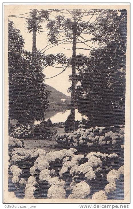 Quitandinha Petropolis Optica Haack Vintage Original Photo Postcard Cpa Ak (W3_1056) - Rio De Janeiro