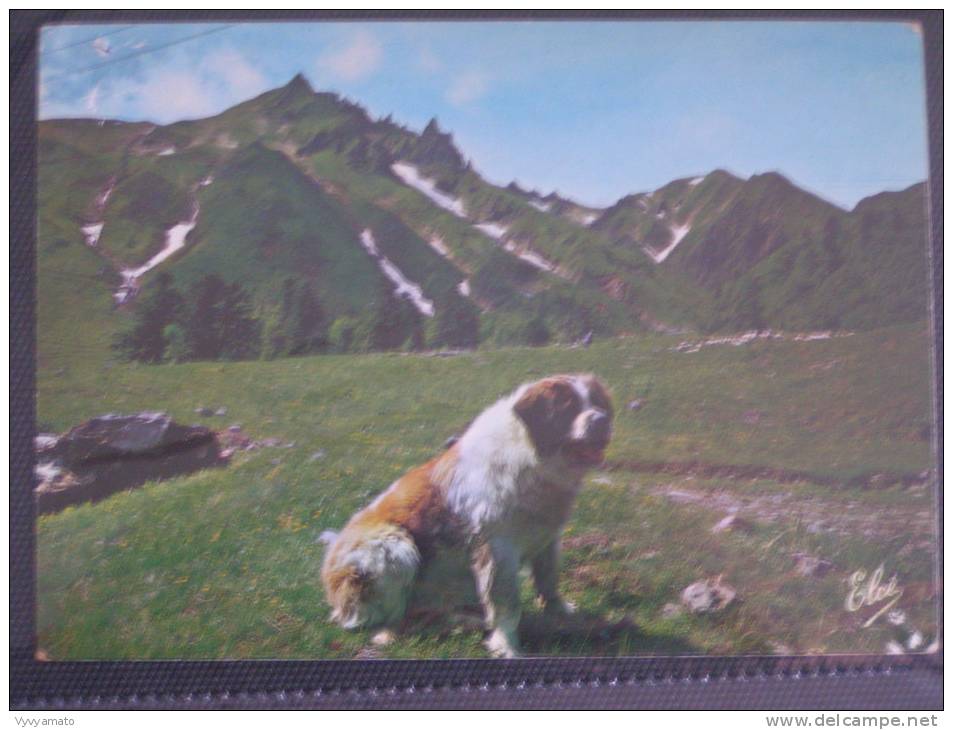 MONT DORE LE SECOURISTE DU SANCY - Montaigut