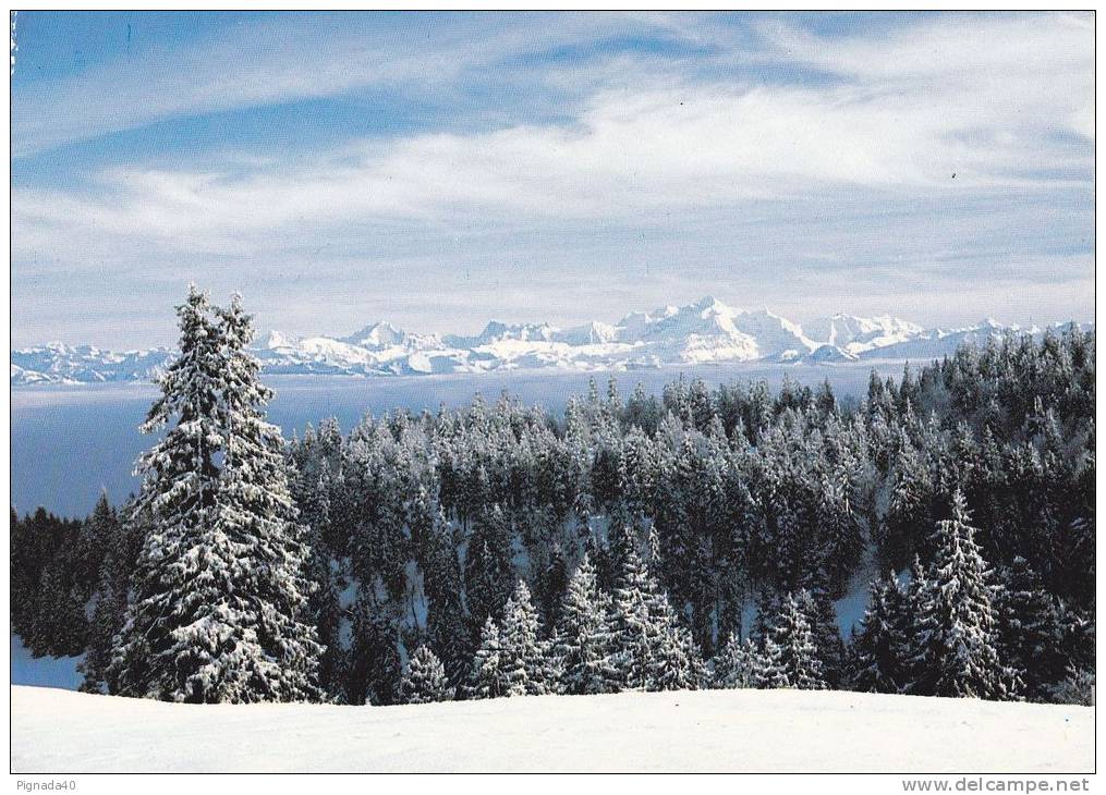 Cp , RÉGIONS , RHÔNE-ALPES , La Chaîne Du Mont-Blanc - Rhône-Alpes