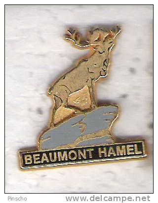 Pin's  BEAUMONT HAMEL - Villes