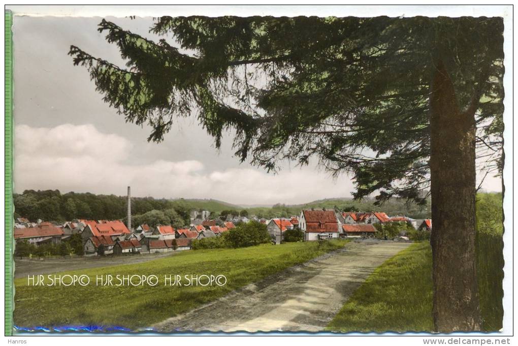 Walkenried, Luftkurort, Südharz Um 1960/1970, Verlag: Herm. Zeiger,  POSTKARTE, Unbenutzte Karte - Osterode