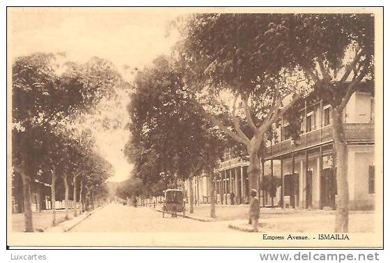 EMPRESS AVENUE . ISMAILIA. - Ismailia