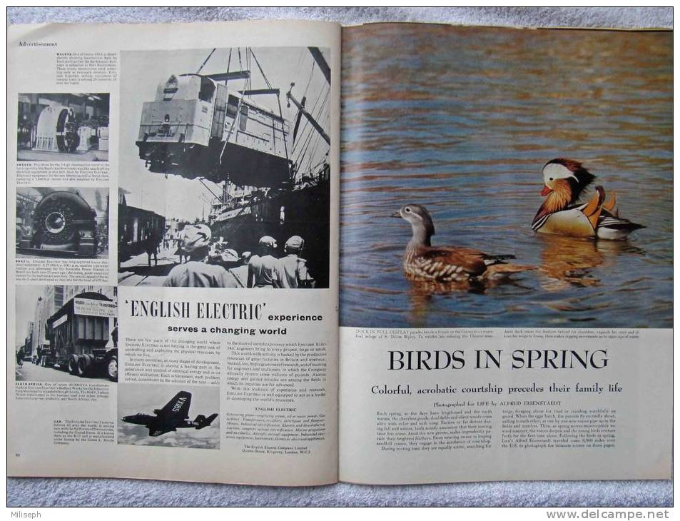 Magazine LIFE - JUNE 13 , 1955 - INTER. ED. - LA RIVIERA FRANÇAISE  - RODIN - FORD - FIAT 600 -  (3028)
