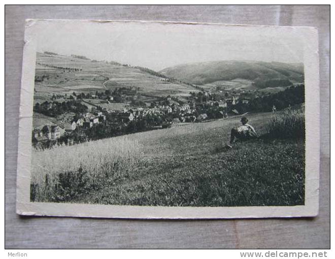 Blick Von Der Albertshöhe Auf BRUNNDÖBRA Und Klingenthal    D94726B - Klingenthal