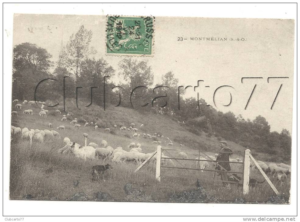 Saint-Witz (95) : MP D'un Berger Et Ses Moutons Dans Le Terrain D'élevage De La  Butte De Montmélian En 1920 (animé). - Saint-Witz