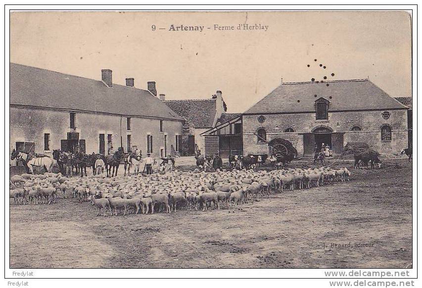 ARTENAY  DANS LE LOIRET  FERME D´HERBLAY - Artenay