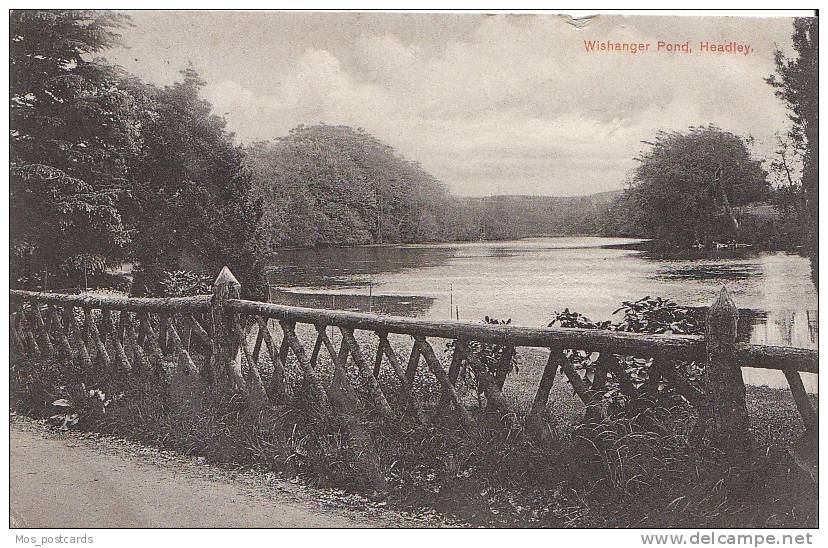 Hampshire Postcard - Wishanger Pond, Headley  V492 - Autres & Non Classés