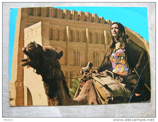 IRAQ - Baghdad -Al -Madain - Salman Pak Camel     D94846 - Iraq