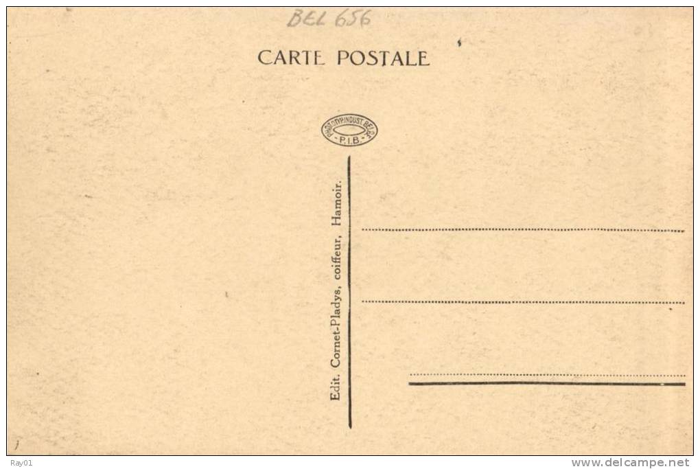 BELGIQUE - LIEGE - HAMOIR - L'Ourthe Vers SY. - Hamoir